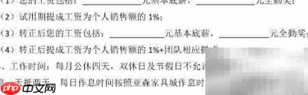 新员工试用期合同方案