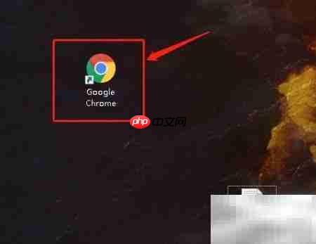 谷歌浏览器设置Serif字体为Symbol
