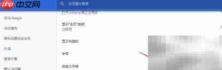 谷歌浏览器设置Serif字体为Symbol