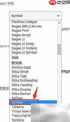 谷歌浏览器设置Serif字体为Symbol