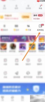雷速体育充值未到账？快速解决方法