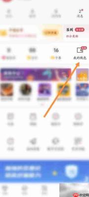雷速体育充值未到账?快速解决方法