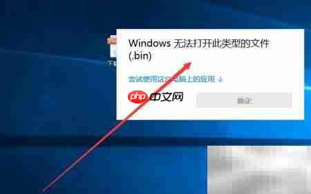 如何打开bin文件:简单方法