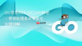 Go语言AES-GCM加解密:密钥处理差异与安全实践详解