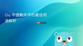 Go 中虚数文字的最佳用途解析