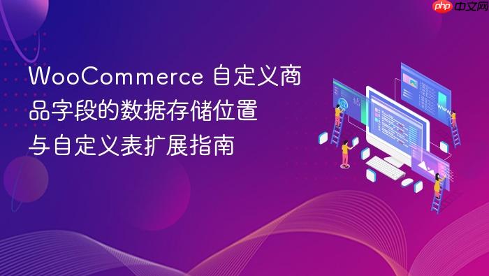 WooCommerce 自定义商品字段的数据存储位置与自定义表扩展指南