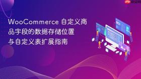 WooCommerce 自定义商品字段的数据存储位置与自定义表扩展指南