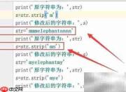 Python中strip函数用法解析