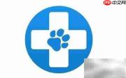 博美犬频繁滴尿原因解析