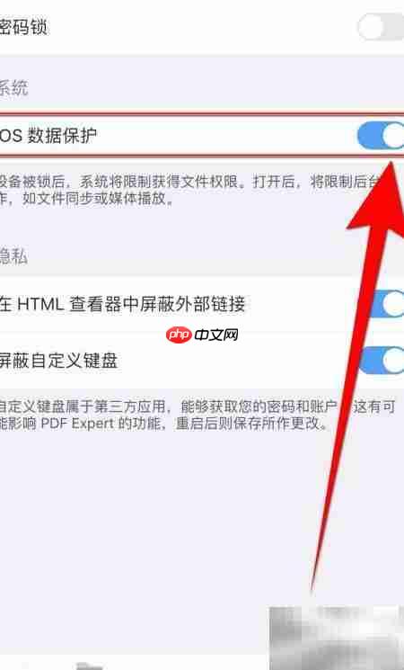 PDF Expert开启iOS数据保护