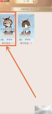 灵猫传外观更换攻略