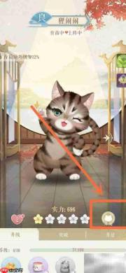 灵猫传外观更换攻略