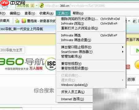 IE自动更新检查设置