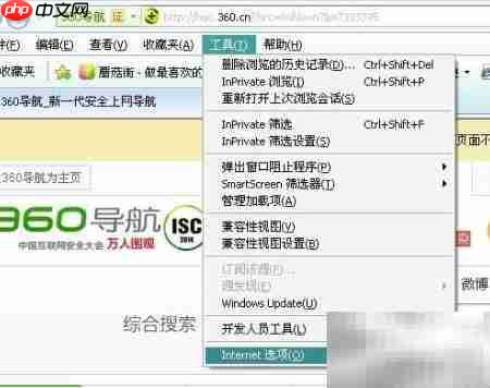 IE自动更新检查设置