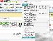 IE自动更新检查设置