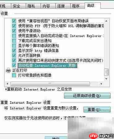 IE自动更新检查设置
