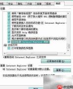 IE自动更新检查设置