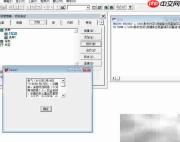 VF6.0编辑框文本修改技巧