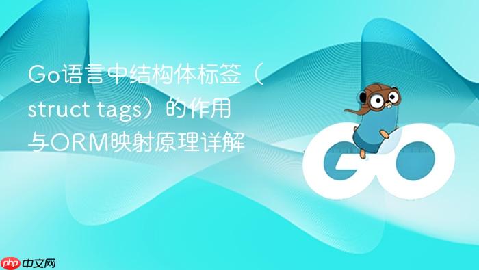 Go语言中结构体标签(struct tags)的作用与ORM映射原理详解