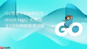 Go语言中结构体标签(struct tags)的作用与ORM映射原理详解