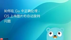 如何在 Go 中正确处理 iOS 上传图片的自动旋转问题