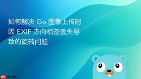 如何解决 Go 图像上传时因 EXIF 方向标签丢失导致的旋转问题
