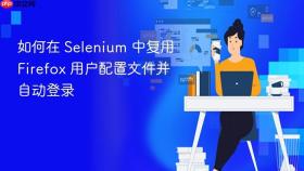 如何在 Selenium 中复用 Firefox 用户配置文件并自动登录