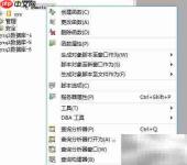 Aqua Data Studio创建函数SQL