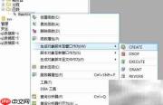 Aqua Data Studio创建函数SQL
