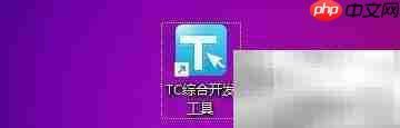 TC工具中文输入用英文标点技巧