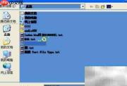 Fast Email Verifier使用指南
