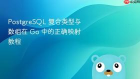PostgreSQL 复合类型与数组在 Go 中的正确映射教程