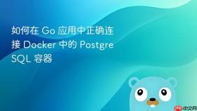 如何在 Go 应用中正确连接 Docker 中的 PostgreSQL 容器
