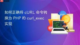 如何正确将 cURL 命令转换为 PHP 的 curl_exec 实现
