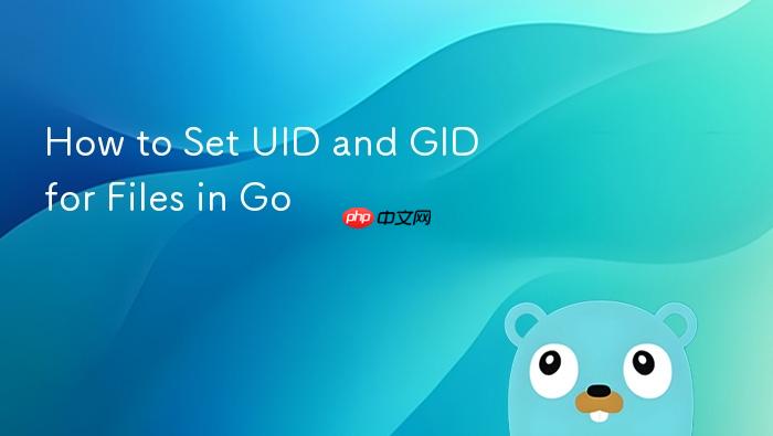 How to Set UID and GID for Files in Go