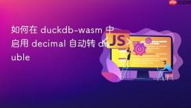 如何在 duckdb-wasm 中启用 decimal 自动转 double
