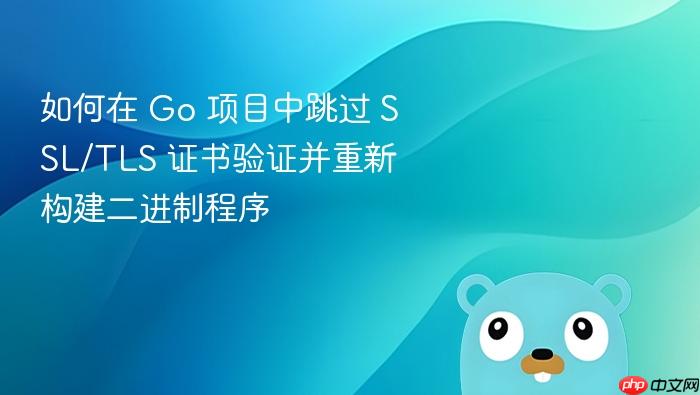 如何在 Go 项目中跳过 SSL/TLS 证书验证并重新构建二进制程序