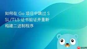 如何在 Go 项目中跳过 SSL/TLS 证书验证并重新构建二进制程序
