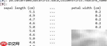 Python获取鸢尾花数据方法