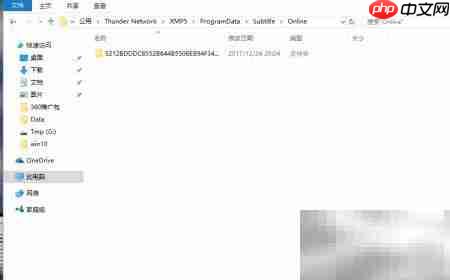 迅雷影音字幕功能详解