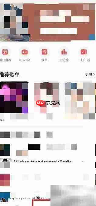 网易云乐迷团隐藏方法