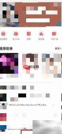 网易云乐迷团隐藏方法