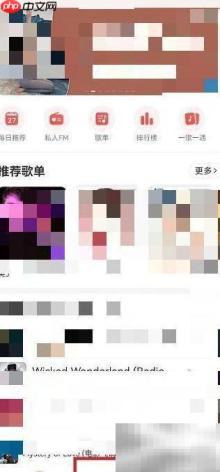 网易云乐迷团隐藏方法