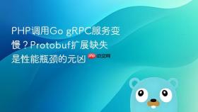 PHP调用Go gRPC服务变慢?Protobuf扩展缺失是性能瓶颈的元凶