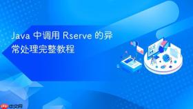 Java 中调用 Rserve 的异常处理完整教程