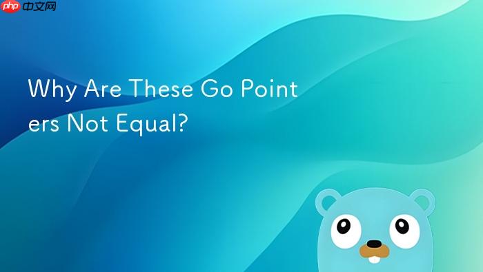Why Are These Go Pointers Not Equal?