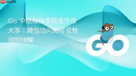 Go 中结构体字段首字母大写:跨包访问的可见性规则详解