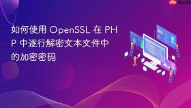如何使用 OpenSSL 在 PHP 中逐行解密文本文件中的加密密码
