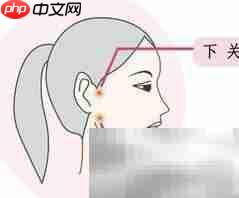 口腔保健操:轻松护齿小妙招