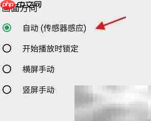 OPlayer画面方向自动感应设置